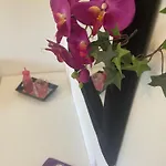 Karins Kotte شقة بابينبورغ