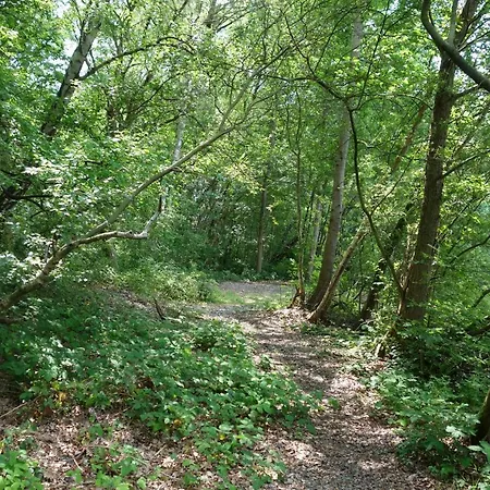 Karins Kotte דירה