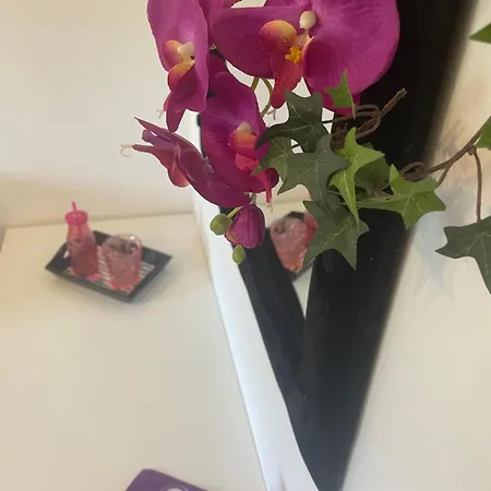 Karins Kotte דירה פפנבורג